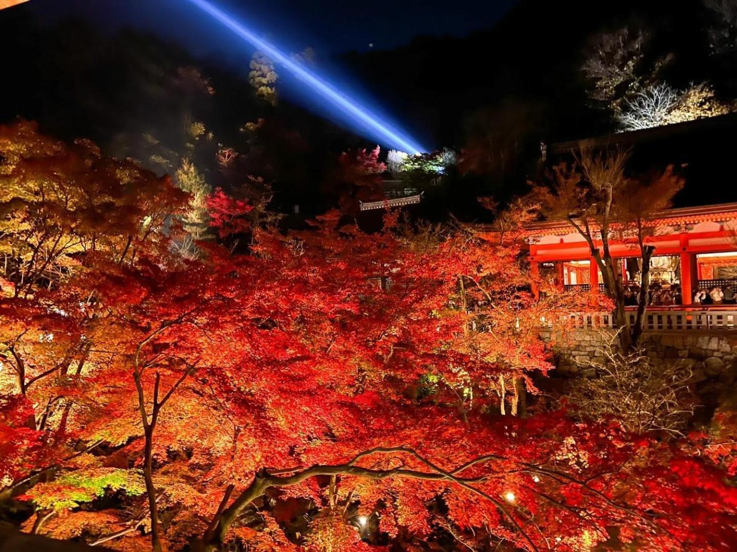 Rinn Kiyomizu Gion Кіото Екстер'єр фото